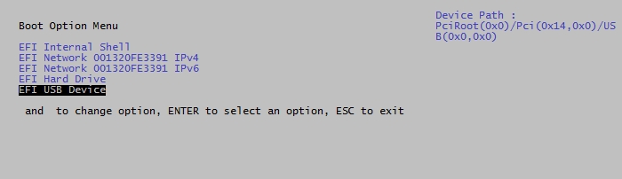 EFI-USB Device boot.png